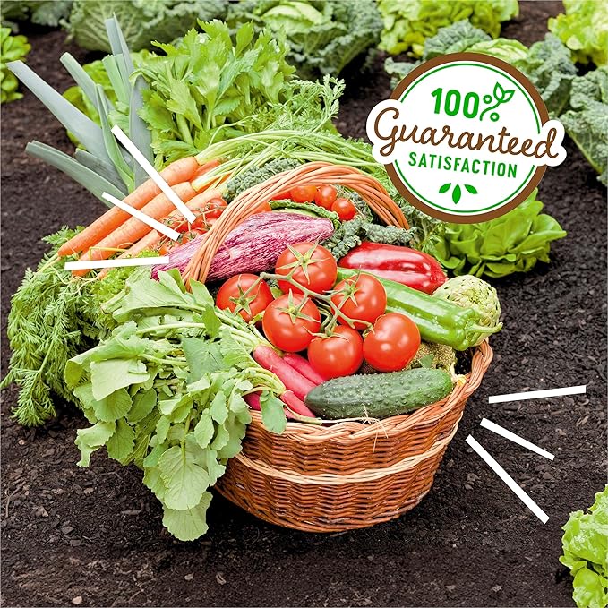 Back to the Roots Organic Blood Meal with Gypsum (3lb Pack of 4)