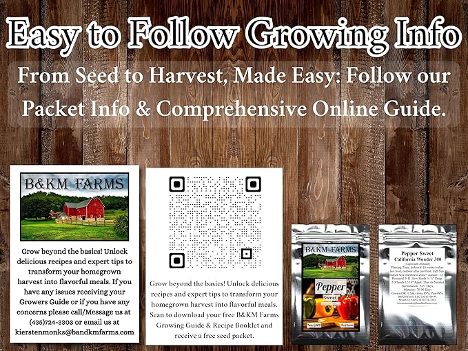 Beginner Survival Seed Vault: 20000+ Heirloom &amp Non-GMO Seeds (30 Easy to Grow Varieties) by B&ampKM Farms