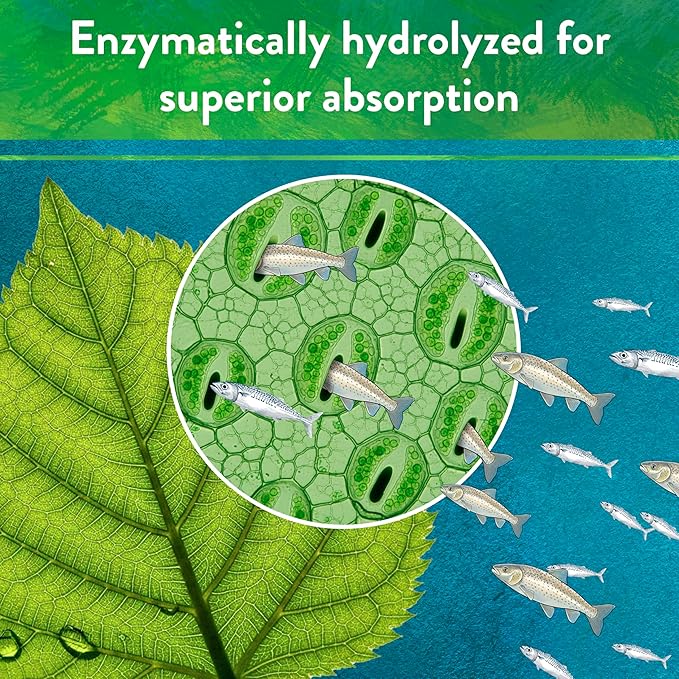 Down to Earth All Natural Fertilizers Organic Solution Grade Fish Powder - Water Soluble Nitrogen - Makes up to 250 Gallons of Liquid Fish Fertilizer for Soil or Foliar Spray 12-1-1 5 lb