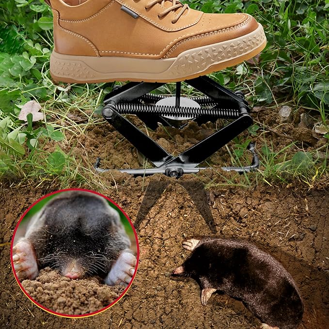 Mole Traps 2 Pack Scissor Mole Trap That Kill BestMole Traps for Lawns GroundEasy Step Mole EliminatorBlack Coated