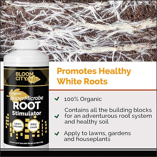 Bloom City SuperMicrobe Root Fertilizer – Liquid Microbial Plant Food for Explosive Root Development Enhanced Nutrient Uptake &amp Stronger Plant Establishment 32 oz