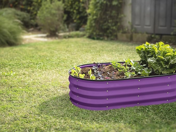 Plant &amp Plot Galvanized Raised Garden Beds Outdoor // 4×2×1 ft &amp 4×4×1 ft Planter Raised Beds for Gardening Vegetables Flowers // Large Metal Garden Box (Purple)