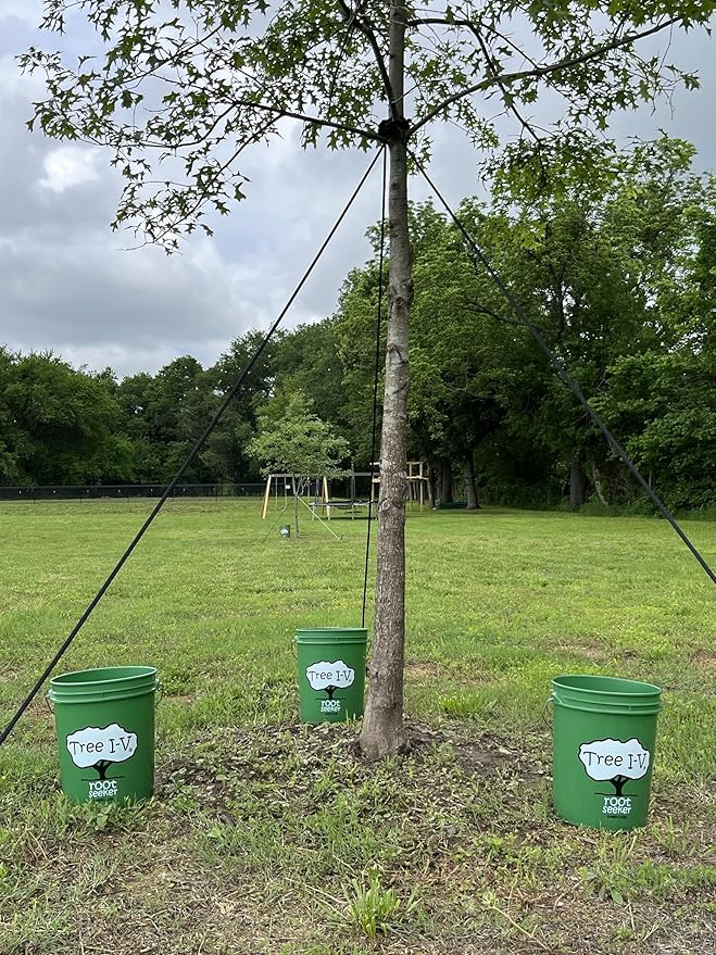 Tree I-V 12-pk Fill &amp Haul Root Feeder | Plug &amp Lid for Remote Trees