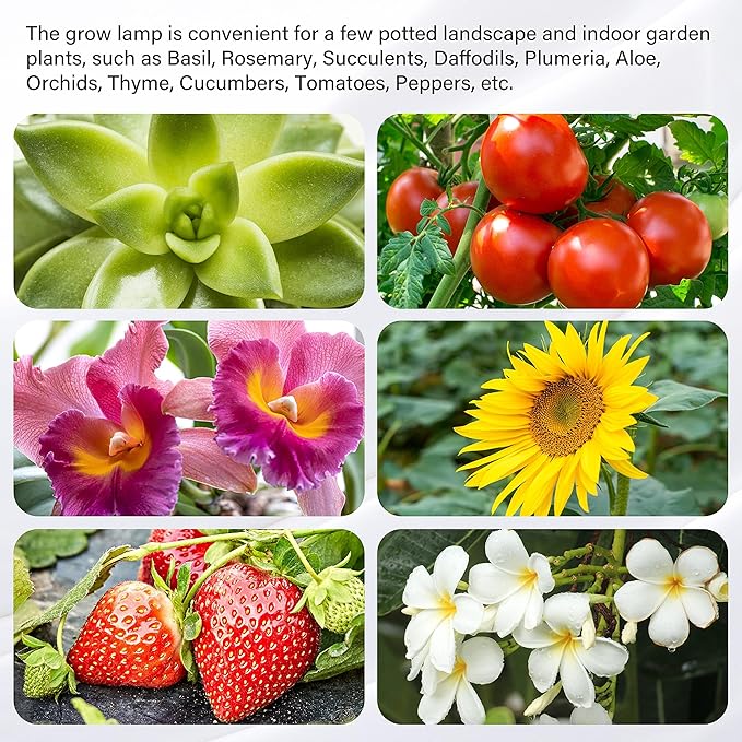 iPower 60W LED Plant Grow Light Strips Full Spectrum for Indoor Plants with Auto ON/Off 3/9/12H Timer 10 Dimmable Levels 48 LEDs Per Tude for Hydroponics Succulent 4 Tubes Red&ampBlue
