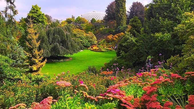 Liquid Fertilizer 16-8-4 general purpose fertilizer that provides vigorous sustained growth (1 Gallon)