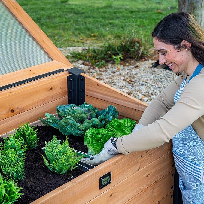 Backyard Discovery Aggie 4' x 2' Cedar Wood Cold Frame Portable Mini Greenhouse Raised Garden Planter with Temperature-Activated Polycarbonate Lid Mesh Drainage for Year-Round Outdoor Gardening