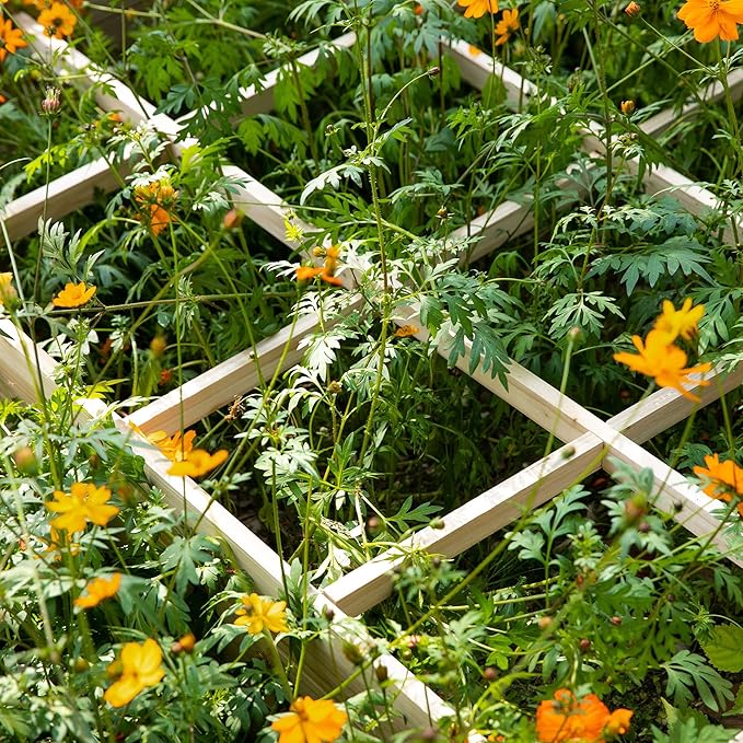 Raised Garden Bed Kit 4' x 4' Outdoor Wooden Planter Box with 9 Growing Grids for Plants and Herbs