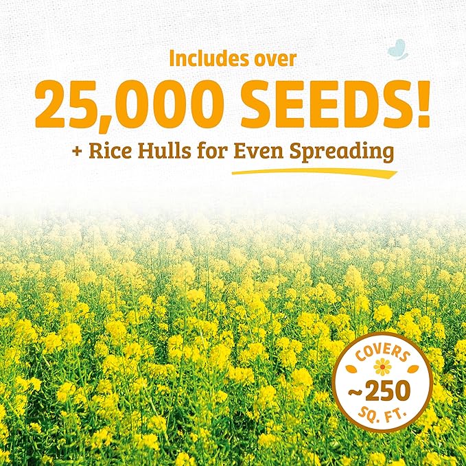 Back to The Roots 100% Organic Yelow Mustard Cover Crop Seeds Covers ~1000 sq. ft.