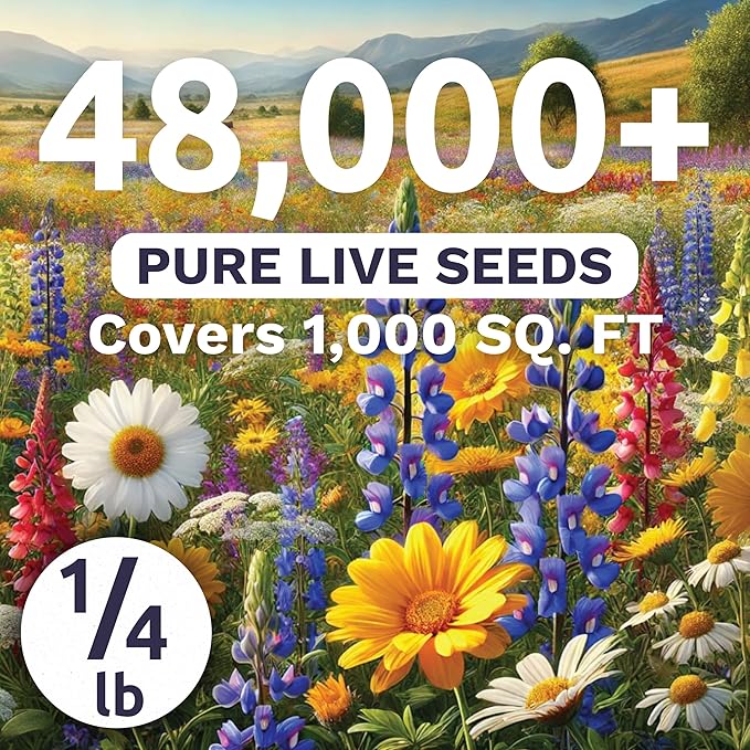 Southeast Regional Mix - Bulk 1/4 Pound Pouch - 48000 Flower Seeds for Planting - Wildflower Mix