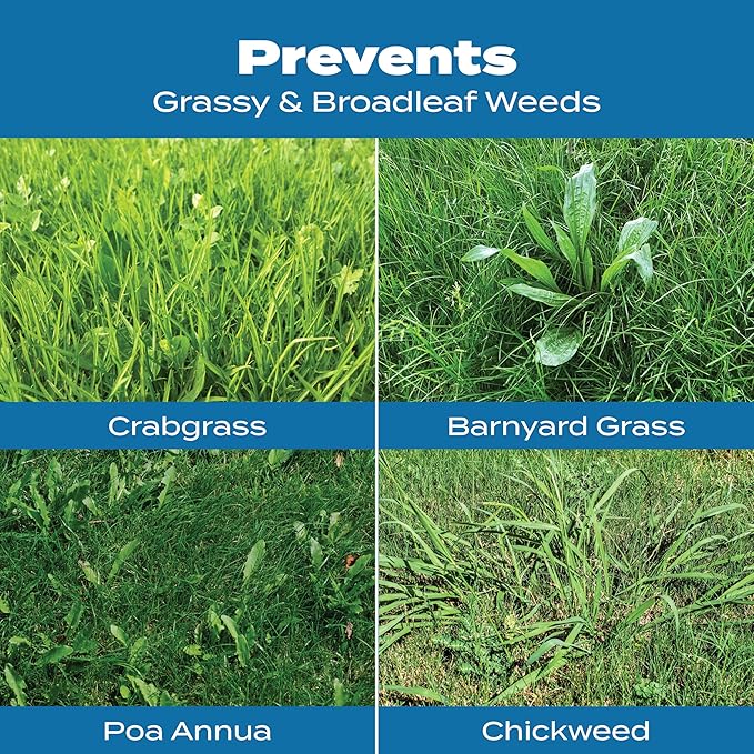 Scotts Turf Builder Halts Crabgrass Preventer with Lawn Food - Pre-Emergent Weed Killer Lawn Fertilizer 5000 sq. ft. 13.35 lbs. (2-Pack)