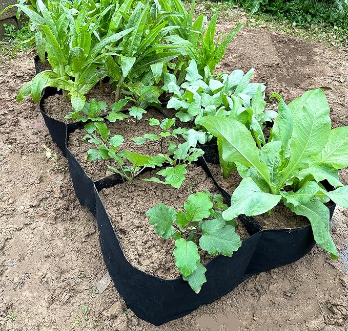 2 Pack Fabric Raised Garden Beds128 Gallon 8 Grids Thickened Rectangle Plant Grow BagsReusable Outdoor Gardening Planting Container Planter Pot for Growing Herbs Flower Gardening Vegetables Chillies