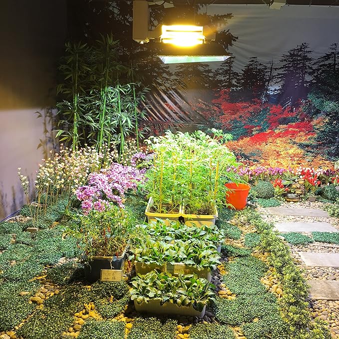 1000 Watt Vegetative Metal Halide Lamp MH Grow Light Bulb Lamp MH 1000W E39 High PAR Enhanced Blue and Violet Spectrums CCT 6000K for Vege Growth and Flower