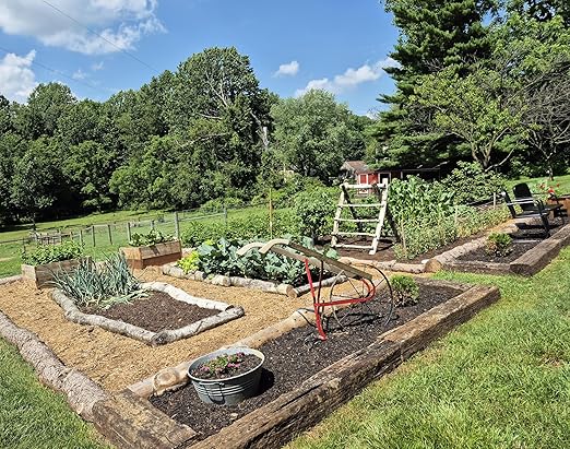 Boron 20 Pound Fertilizer for Plants – Natural Micronutrient Soil Amendment for Fruits Vegetables and Crops – Lancaster Ag Products