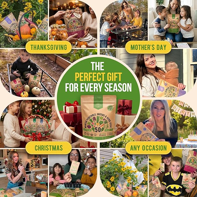 50 Winter Vegetable Garden Seeds Variety Pack - 43450+ Non-GMO Heirloom Seeds for Outdoors &amp Indoor Home Gardening Including Kohlrabi Lettuce Radish Onion Choy Spinach Cauliflower Collard