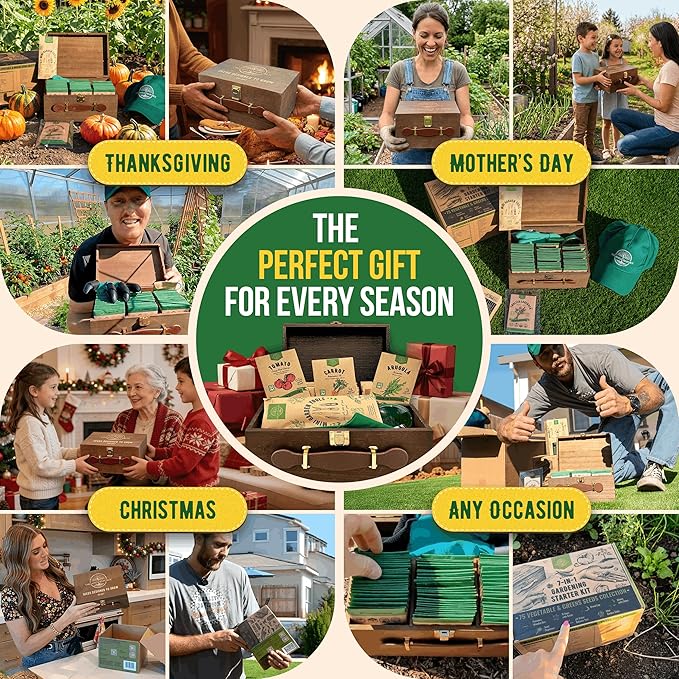 75 Medicinal &amp Tea Herb Seeds Variety Pack Garden Seed Starter Kit - Over 47380 Non-GMO Heirloom Seeds for Planting Herbs and Vegetables Seed Box with Gardening Supplies Gardening Gifts