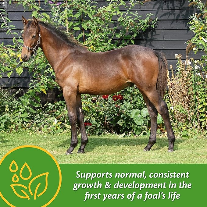 Farnam Grow Colt Supplement for Growth &amp Development Supports Normal consistent Growth in First Years of foal's Life 3.75 lbs. 30 Day Supply