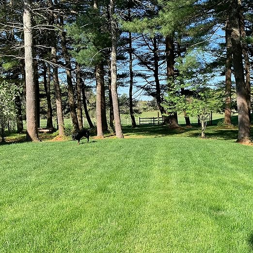 Purely Organic Products Lawn Food 10-0-2 25 LB (Covers 6250 Square Feet)