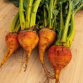 Plant Good Seed Organic Touchstone Gold Beet Bulk Seeds for Planting: Heirloom Vegetable Flower and Herb Farm Grown - 3000 Seed Packet (1 Ounce)