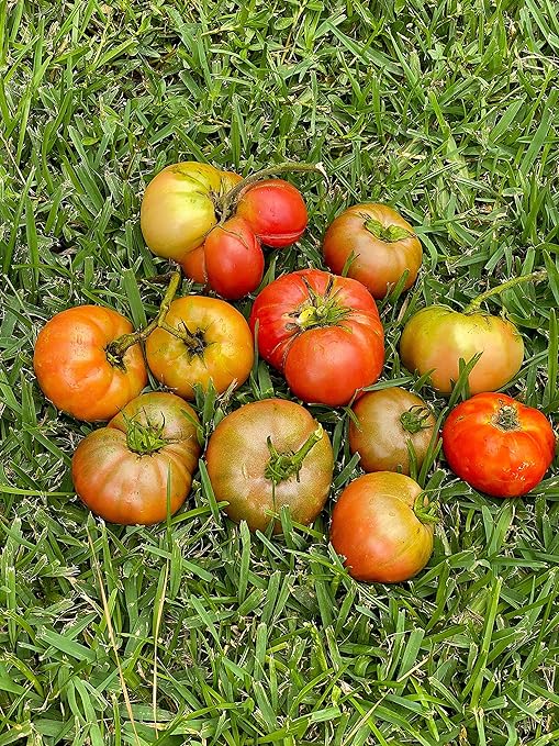 Tomato Fertilizer Organic OMRI Certified Safe Will Not Burn Indoor Outdoor Food for All Vegetables NPK 8-5-5