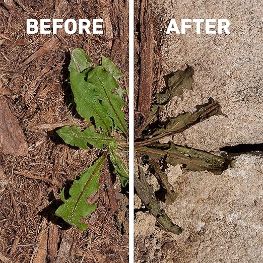Spruce EZ-AIM Grass and Weed Killer Spray - Precision Shot for Cracks Edges &amp Small Spaces - Starts Wilting in 1 Hour Dead Weeds in 24 Hours (3 Pack 10 Oz Each)
