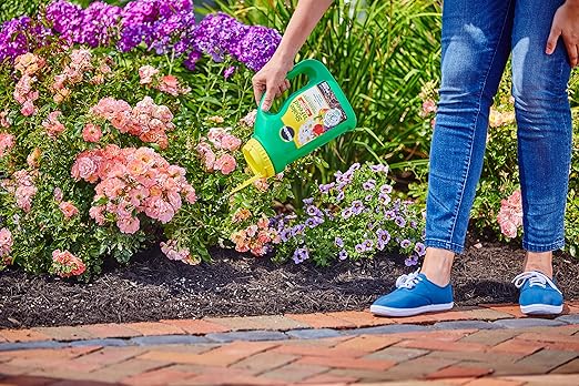 Miracle-Gro Shake 'N Feed All Purpose Plant Food - Outdoor and Indoor Plant Food for In-Ground and Containers Feeds for up to 3 Months 4.5 lbs. (6-Pack)