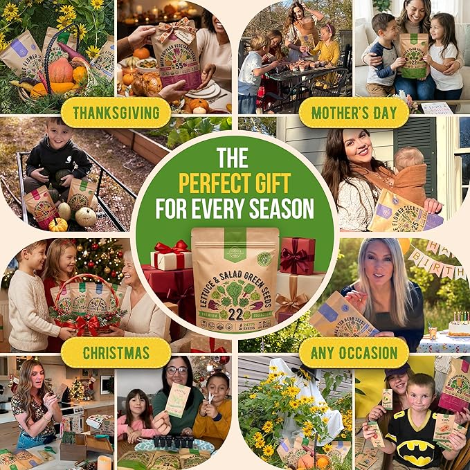 Organo Republic 22 Lettuce &amp Salad Greens Seeds Variety Pack 24700+ Non-GMO Heirloom Lettuce Seeds for Indoor &amp Outdoor Garden Hydroponic &amp Aeroponic - 2026 Season - Arugula Spinach Sw