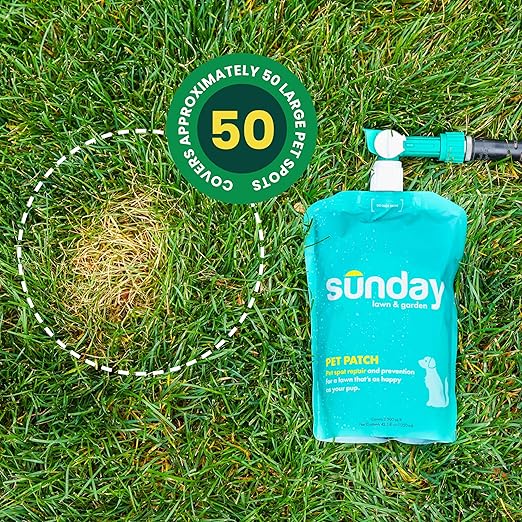Sunday Pet Patch - Lawn Spots Repair - Repair &amp Prevent Grass Pet Spots - Easy Hose-On Formula - Covers Up to 2500 sq ft - 2 Pack - 42 Fl Oz